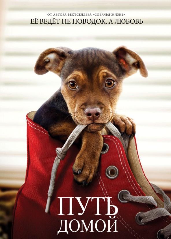 Фильм Путь домой (2019) смотреть онлайн